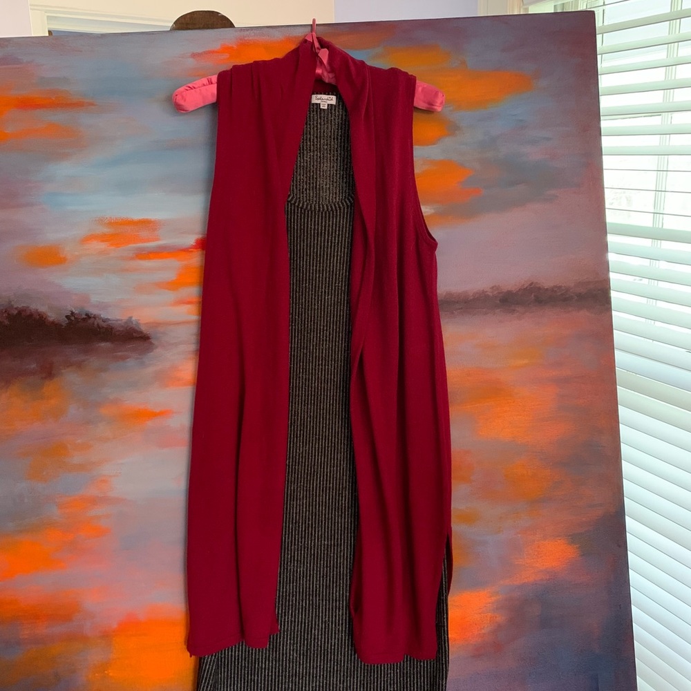Splendid sleeveless dress